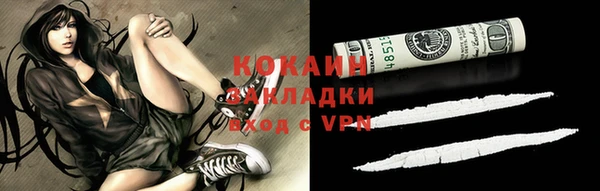 ECSTASY Богданович