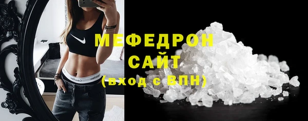 ECSTASY Богданович