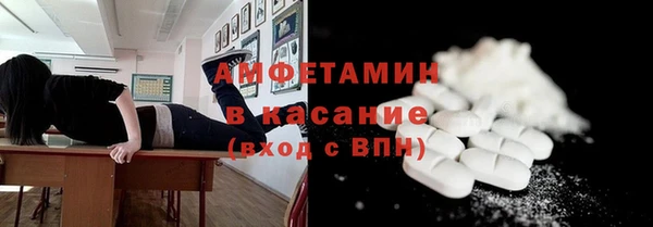 ECSTASY Богданович