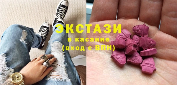 ECSTASY Богданович