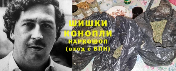 ECSTASY Богданович